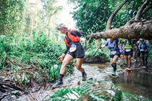 BIB: 
                            <button type="button" onclick="openModal(25474494)" class="btn btn-primary btn-sm float-right btn-popup" data-toggle="modal" data-target=".modal-high-quality">
                        <i class="fas fa-shopping-cart"></i> Add to Cart
                    </button>
                                            <button type="button" onclick="isThisMe(25474494, true)" class="btn btn-success btn-sm float-right btn-popup btn-isme hidden" data-toggle="tooltip" data-placement="bottom" title="นี่คือรูปของคุณใช่ไหม คลิกที่นี่เพื่อเอาเข้าอัลบั้ม">
                        <i class="fas fa-plus"></i> Add to album
                    </button>
                    <button type="button" onclick="isThisMe(25474494, false)" class="btn btn-warning btn-sm float-right btn-popup btn-isnotme hidden">
                        <i class="fas fa-ban"></i> Remove from album
                    </button>